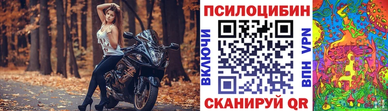 Псилоцибиновые грибы прущие грибы  Майский 